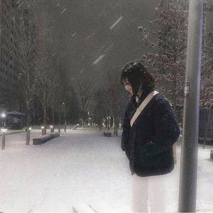 Meet your Posher, Snow!